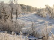 Народные приметы 24 февраля 2020 года в день Василия