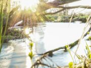 Народные приметы 1 марта 2020 года в День Ярила