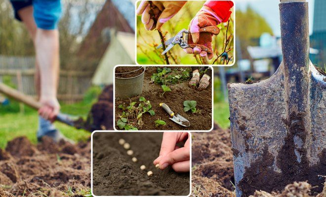 Календарь садово-огородных работ на март 2020 года
