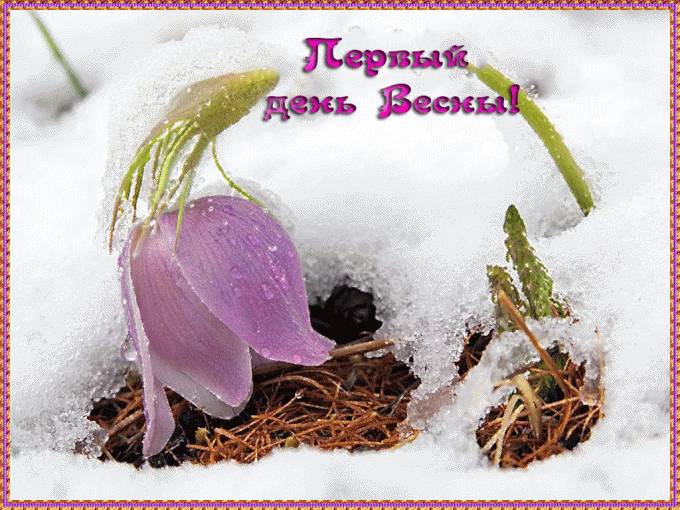 Красивые картинки с 1 марта и открытки-поздравления с первым днем весны