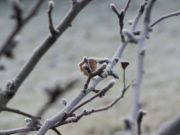 День Даниила Новичка празднуют 1 марта