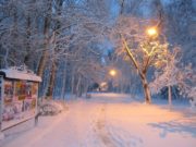 Морозы в Ленинградской области минус 40 будут или нет?