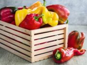 Лунный календарь посева перца на рассаду в 2020 году, благоприятные дни