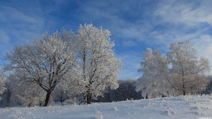 Морозы в Ленинградской области минус 40 будут или нет?