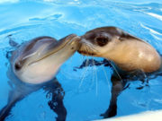 Какой праздник сегодня, 19 февраля