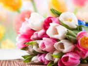 Стихи и поздравления с 8 Марта друзьям, коллегам, учительнице, бабушке растопят сердца женщин