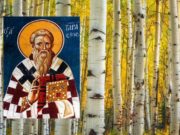 Народные приметы 10 марта 2020 года в Тарасов день