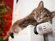 Когда отключают отопление в 2020 году, график в Москве