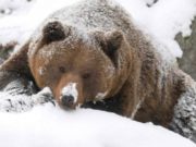 Какой праздник сегодня, 16 марта