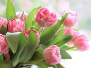 Куда пойти 8 марта в Екатеринбурге в 2020 году, где отметить женский праздник