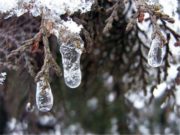 Народные приметы 10 марта 2020 года, что нельзя делать в этот день