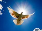 Народные приметы 7 марта 2020 года в день Маврикия