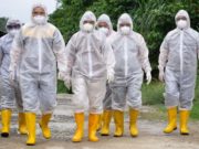 В чем разница между пандемией и эпидемией?