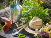 Посадочный календарь на март-апрель 2020 года, что и когда сожать