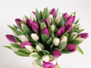 Какие цветы обычно дарят на 8 марта?