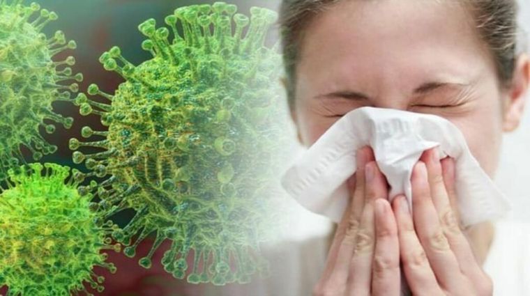 Анна Попова: «До 50% больных могут не показывать симптомы коронавируса»
