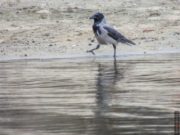 Какой праздник сегодня, 15 апреля