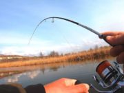 С какого числа вступил в силу запрет на рыбалку в 2020 году в период нереста?