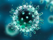 Онлайн-тест на выявление COVID-19 доступен для всех граждан России