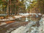 Народные приметы 6 апреля 2020 года в канун Благовещения и день Артемия