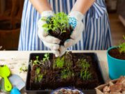 Лунный посевной календарь на апрель 2020 года с 15 по 30 число