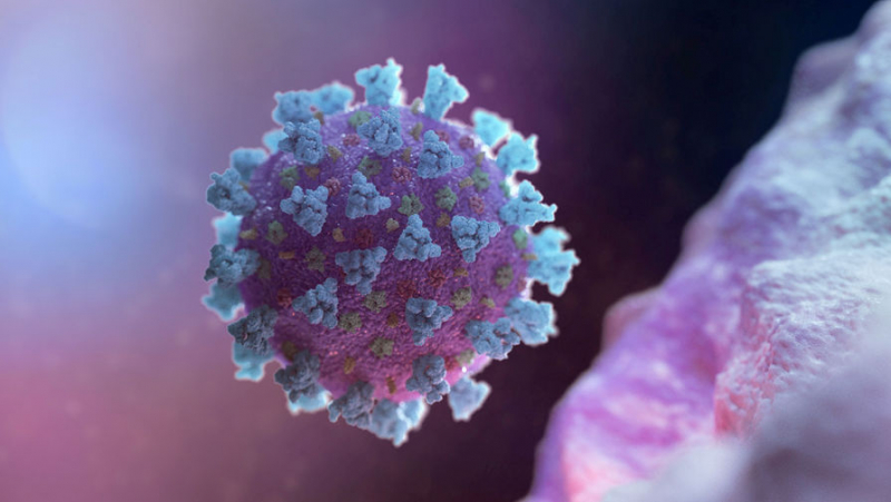 Как обстоят дела с коронавирусом в Европе и мире на 7 апреля?