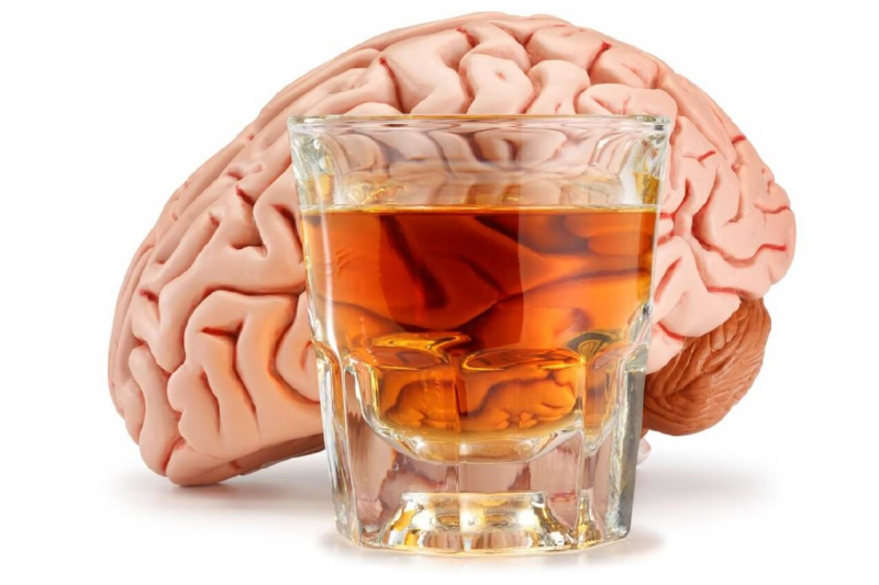 Влияние алкоголя на мозг описали ученые