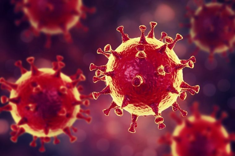 Легкие человека, умершего от COVID-19, говорят о том, что вирус вызывает нестандартную пневмонию