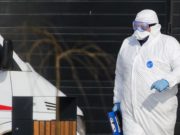 Как России снизить риск развития эпидемии коронавируса