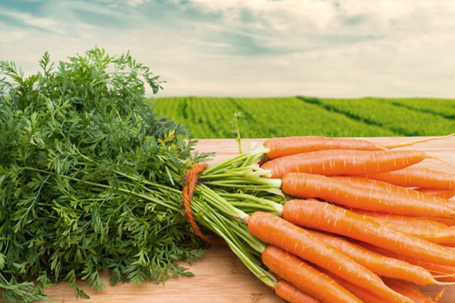 Как получить хороший урожай моркови в открытом грунте?