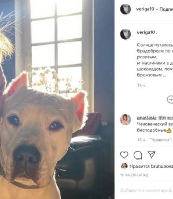 Филипп Янковский изменился до неузнаваемости после исцеления от рака