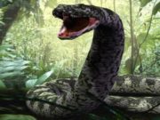 Толкование снов о змеях по Фрейду, Ванге и другим известным сонникам