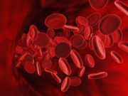 Продукты, необходимые для повышения гемоглобина