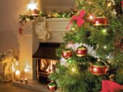 Грамотный выбор искусственной елки для дома