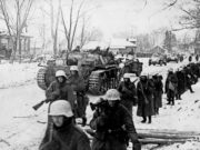 Важные национальные праздники отмечают 5 декабря в России