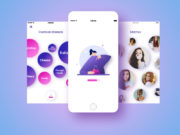 Нишевая социальная сеть: что это такое?