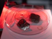 Бионический глаз Phoenix99 готов к испытаниям на людях