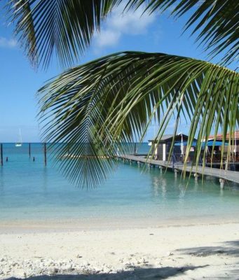 Бренд Corona Beer откроет свой собственный фирменный остров у побережья Колумбии