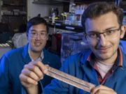 NFC-ткань сделает одежду «умной» и позволит ей «разговаривать» с другими вещами