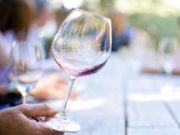 Подорожание импортного вина назвали маркетинговой аферой: стоит ли покупать сейчас