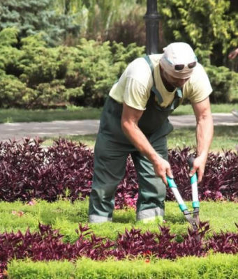 Уход за садом — объем работ, цены и методы