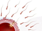 Счастье материнства: преимущества услуги донора спермы для женщин