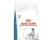 Как сохранить здоровье собаки