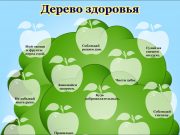 Дерево здоровья для детей: что это такое и какие преимущества