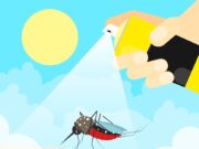 “Марафет”: Союзник в Борьбе с Насекомыми