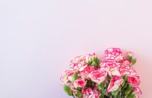 Выбор цвета розы