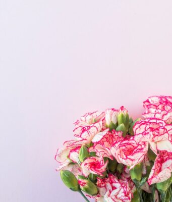 Выбор цвета розы