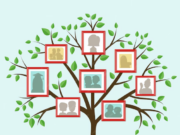Путешествие в прошлое: сколько стоит составить генеалогическое древо и кто поможет в этом?