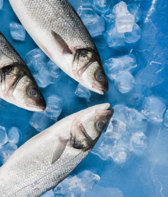 Свежемороженая рыба: где купить и как выбрать лучший продукт