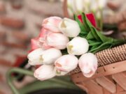 Цветочные букеты: выбираем идеальную композицию для любого случая